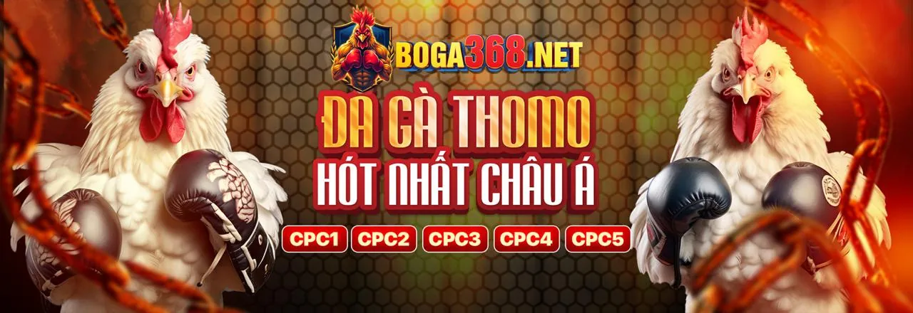 Hình ảnh đăng ký SBOBET an toàn