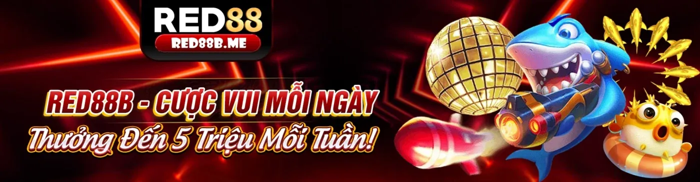 Hình ảnh tổng quan về SBOBET và các câu hỏi thường gặp